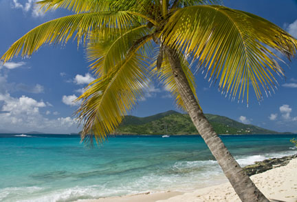 Beach Apple Bay Jost Van Dyke in Background