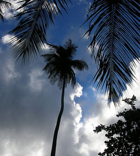 Tortola Weather