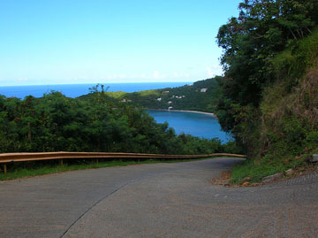 Curvy Road